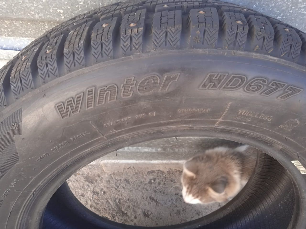Комплект зимних шин 205/65 R15