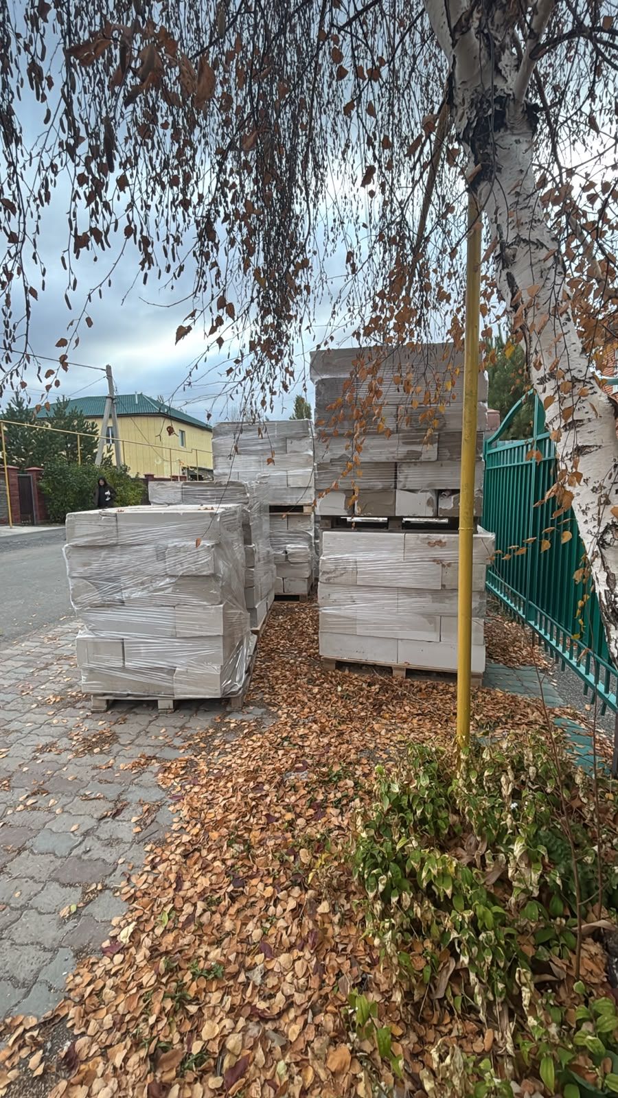 Газоблок 20x30x60